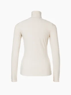 ICON Ski Pully